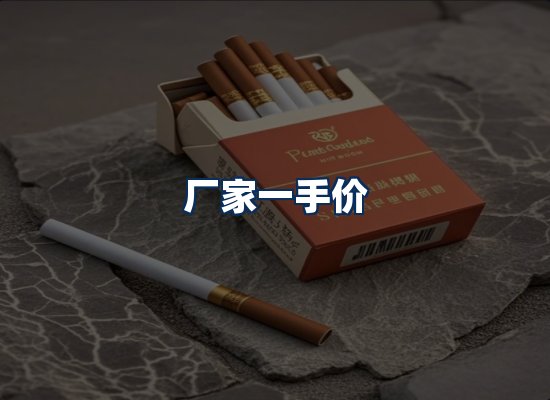 专业团队办公环境